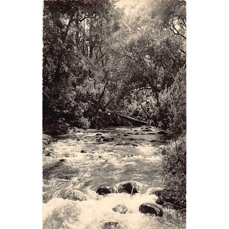 Rare collectable postcards of Madagascar. Vintage Postcards of Madagascar