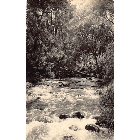 Rare collectable postcards of Madagascar. Vintage Postcards of Madagascar
