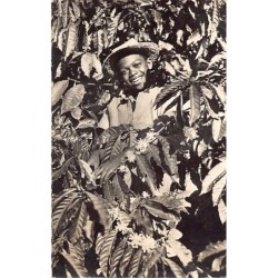 Rare collectable postcards of Madagascar. Vintage Postcards of Madagascar