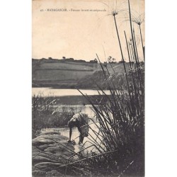 Rare collectable postcards of Madagascar. Vintage Postcards of Madagascar