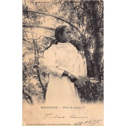 Rare collectable postcards of Madagascar. Vintage Postcards of Madagascar