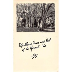 Rare collectable postcards of Madagascar. Vintage Postcards of Madagascar