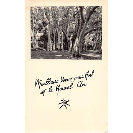 Rare collectable postcards of Madagascar. Vintage Postcards of Madagascar