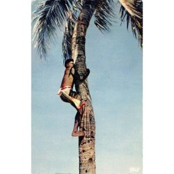 Rare collectable postcards of Madagascar. Vintage Postcards of Madagascar