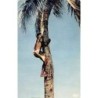 Rare collectable postcards of Madagascar. Vintage Postcards of Madagascar
