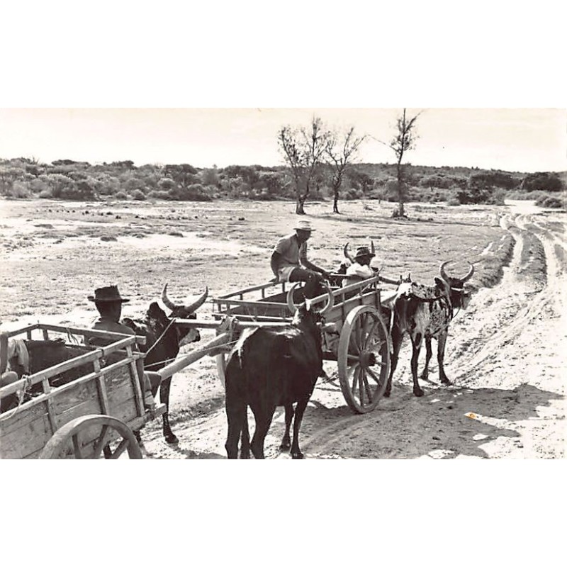 Rare collectable postcards of Madagascar. Vintage Postcards of Madagascar