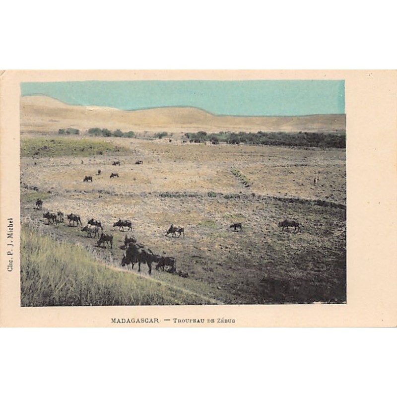 Rare collectable postcards of Madagascar. Vintage Postcards of Madagascar