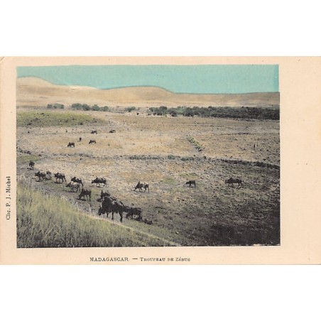 Rare collectable postcards of Madagascar. Vintage Postcards of Madagascar