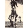 Rare collectable postcards of Madagascar. Vintage Postcards of Madagascar