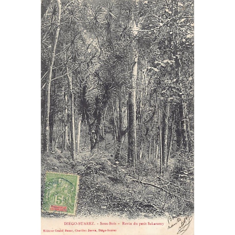 Rare collectable postcards of Madagascar. Vintage Postcards of Madagascar