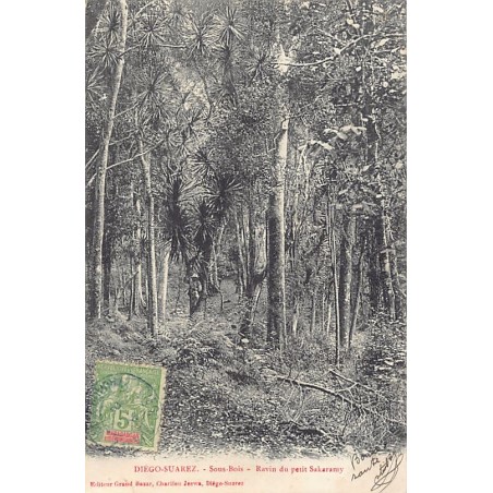 Rare collectable postcards of Madagascar. Vintage Postcards of Madagascar