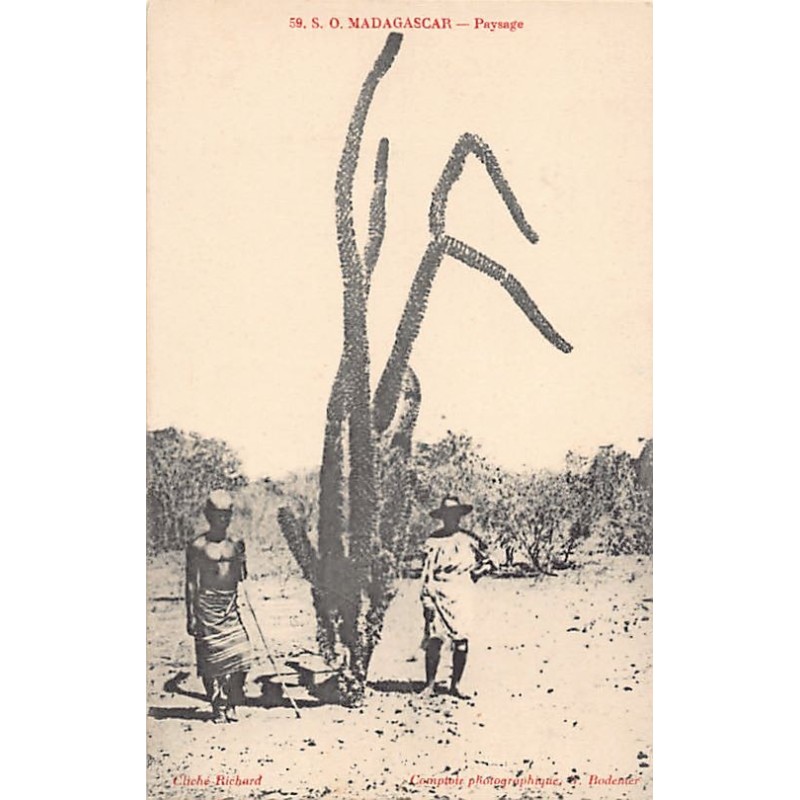 Rare collectable postcards of Madagascar. Vintage Postcards of Madagascar