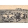 Rare collectable postcards of Morocco. Vintage Postcards of Morocco