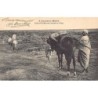 Rare collectable postcards of Morocco. Vintage Postcards of Morocco