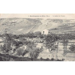 Rare collectable postcards of Morocco. Vintage Postcards of Morocco