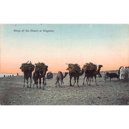 Rare collectable postcards of Morocco. Vintage Postcards of Morocco