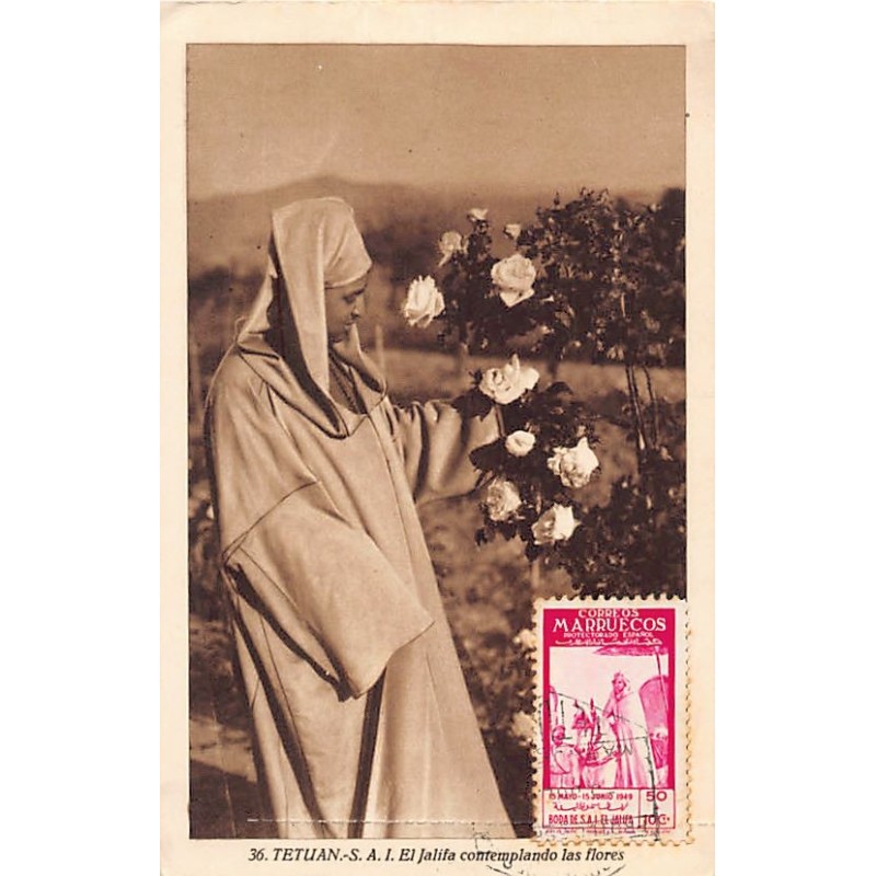 Rare collectable postcards of Morocco. Vintage Postcards of Morocco