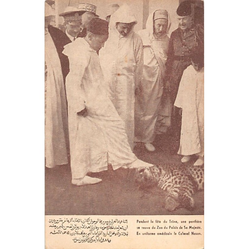Rare collectable postcards of Morocco. Vintage Postcards of Morocco