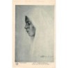 Rare collectable postcards of Morocco. Vintage Postcards of Morocco