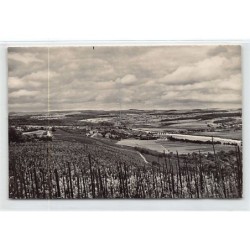 Rare collectable postcards of LUXEMBOURG. Vintage Postcards of LUXEMBOURG