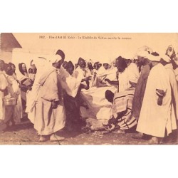 Rare collectable postcards of Morocco. Vintage Postcards of Morocco