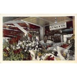 Rare collectable postcards of Vietnam. Vintage Postcards of Vietnam