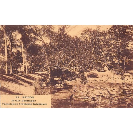 Rare collectable postcards of Vietnam. Vintage Postcards of Vietnam