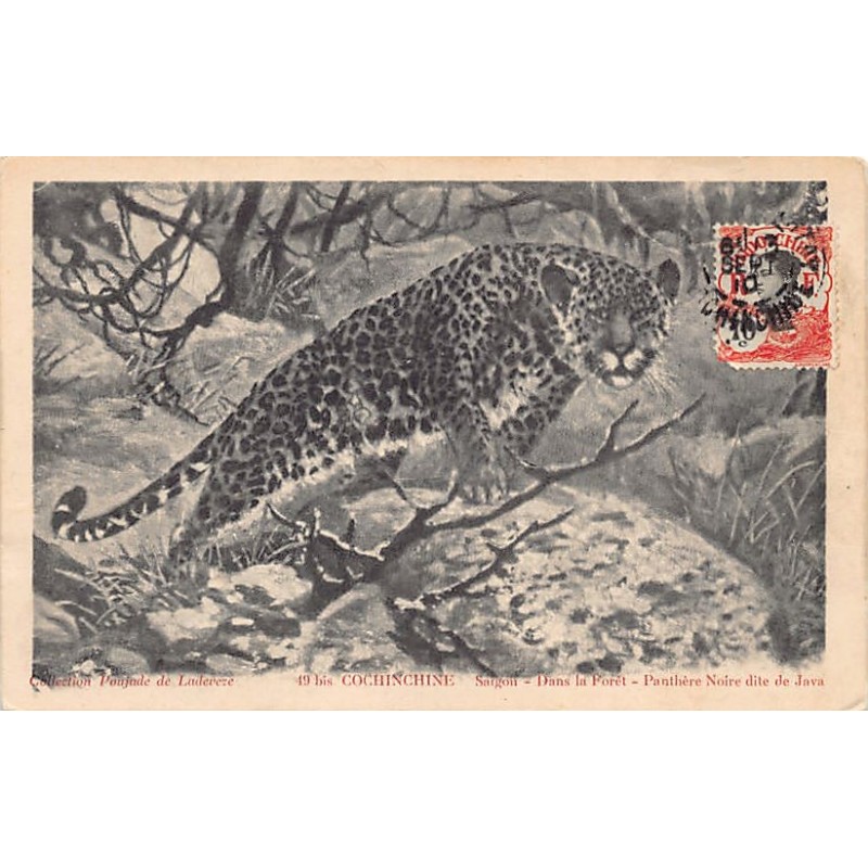 Rare collectable postcards of Vietnam. Vintage Postcards of Vietnam