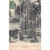 Rare collectable postcards of Vietnam. Vintage Postcards of Vietnam
