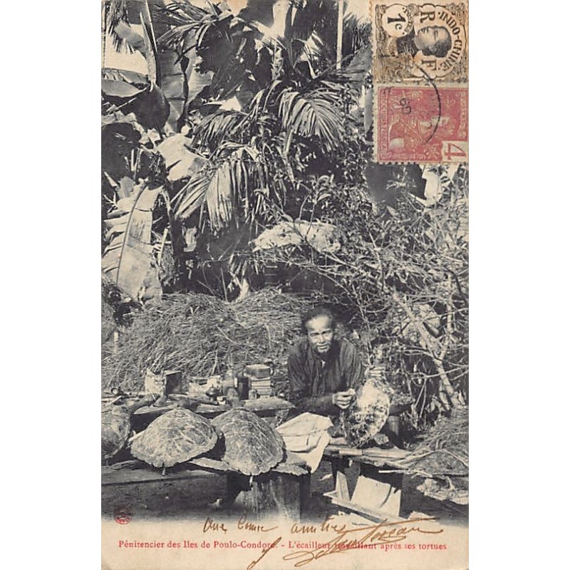 Rare collectable postcards of Vietnam. Vintage Postcards of Vietnam