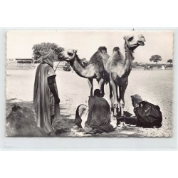 Rare collectable postcards of Mauritania. Vintage Postcards of Mauritania