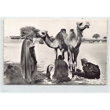 Rare collectable postcards of Mauritania. Vintage Postcards of Mauritania