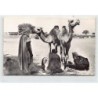Rare collectable postcards of Mauritania. Vintage Postcards of Mauritania