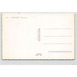 Rare collectable postcards of Mauritania. Vintage Postcards of Mauritania