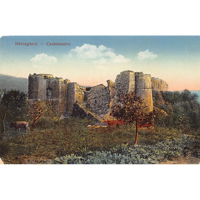 Rare collectable postcards of Montenegro. Vintage Postcards of Montenegro
