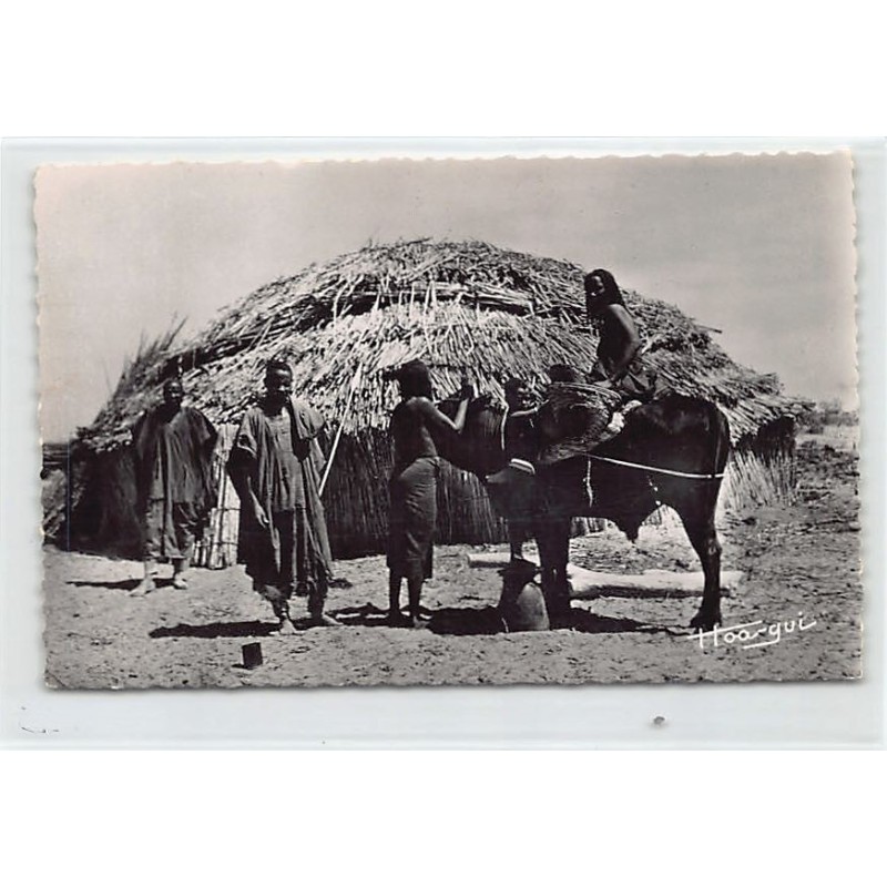 Rare collectable postcards of Chad. Vintage Postcards of Chad