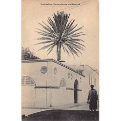 Rare collectable postcards of Senegal. Vintage Postcards of Senegal
