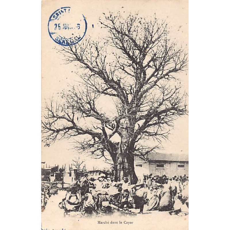 Rare collectable postcards of Senegal. Vintage Postcards of Senegal