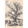 Rare collectable postcards of Senegal. Vintage Postcards of Senegal