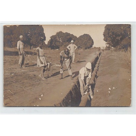 Rare collectable postcards of Senegal. Vintage Postcards of Senegal