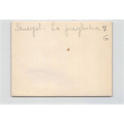 Rare collectable postcards of Senegal. Vintage Postcards of Senegal