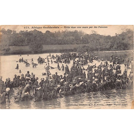 Rare collectable postcards of Senegal. Vintage Postcards of Senegal