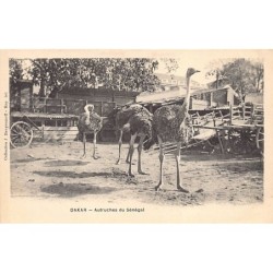 Rare collectable postcards of Senegal. Vintage Postcards of Senegal