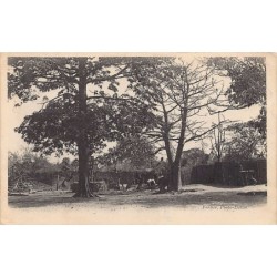 Rare collectable postcards of Senegal. Vintage Postcards of Senegal