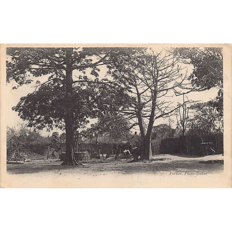 Rare collectable postcards of Senegal. Vintage Postcards of Senegal