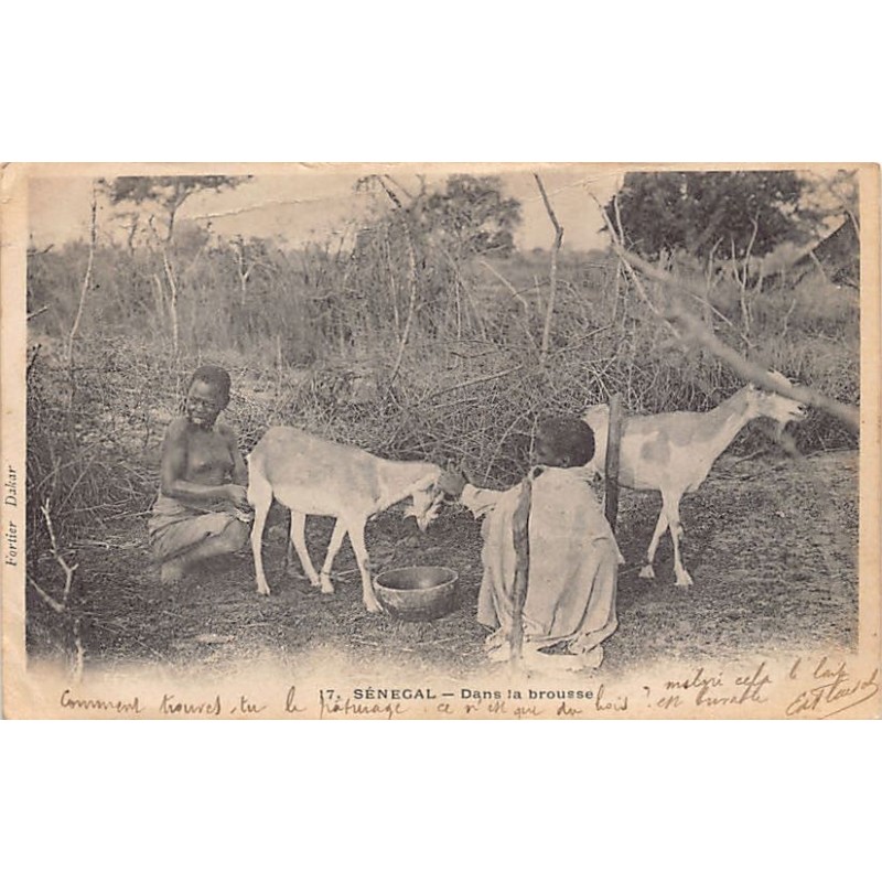 Rare collectable postcards of Senegal. Vintage Postcards of Senegal