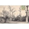 Rare collectable postcards of Senegal. Vintage Postcards of Senegal