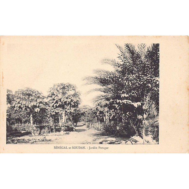 Rare collectable postcards of Senegal. Vintage Postcards of Senegal