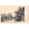 Rare collectable postcards of Senegal. Vintage Postcards of Senegal