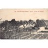 Rare collectable postcards of Senegal. Vintage Postcards of Senegal